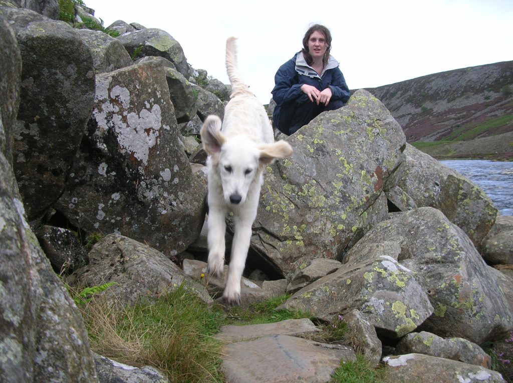 White dog mid-leap between mossy rocks on a rocky lakeside, with a person in a blue jacket crouching on a rock in the background.
