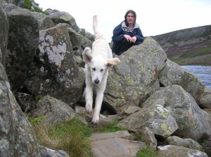 White dog mid-leap between mossy rocks on a rocky lakeside, with a person in a blue jacket crouching on a rock in the background.