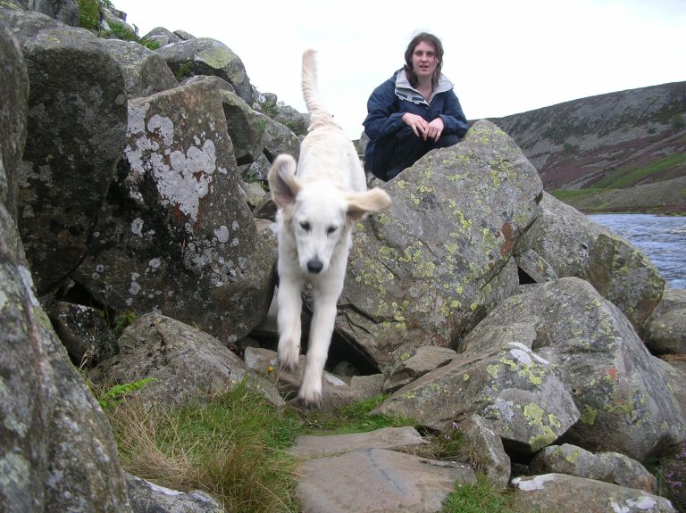White dog mid-leap between mossy rocks on a rocky lakeside, with a person in a blue jacket crouching on a rock in the background.